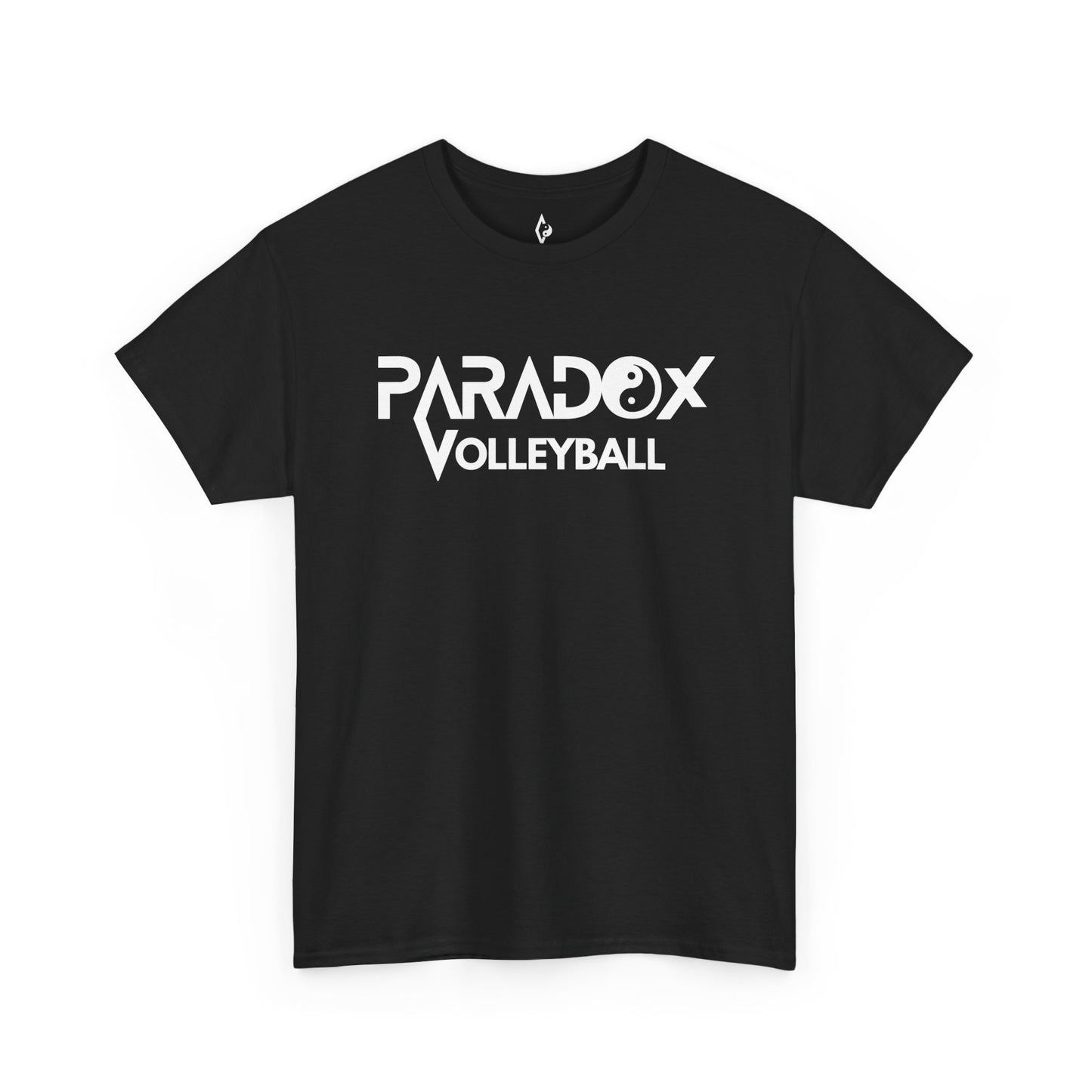Paradox - Dictionary Entry
