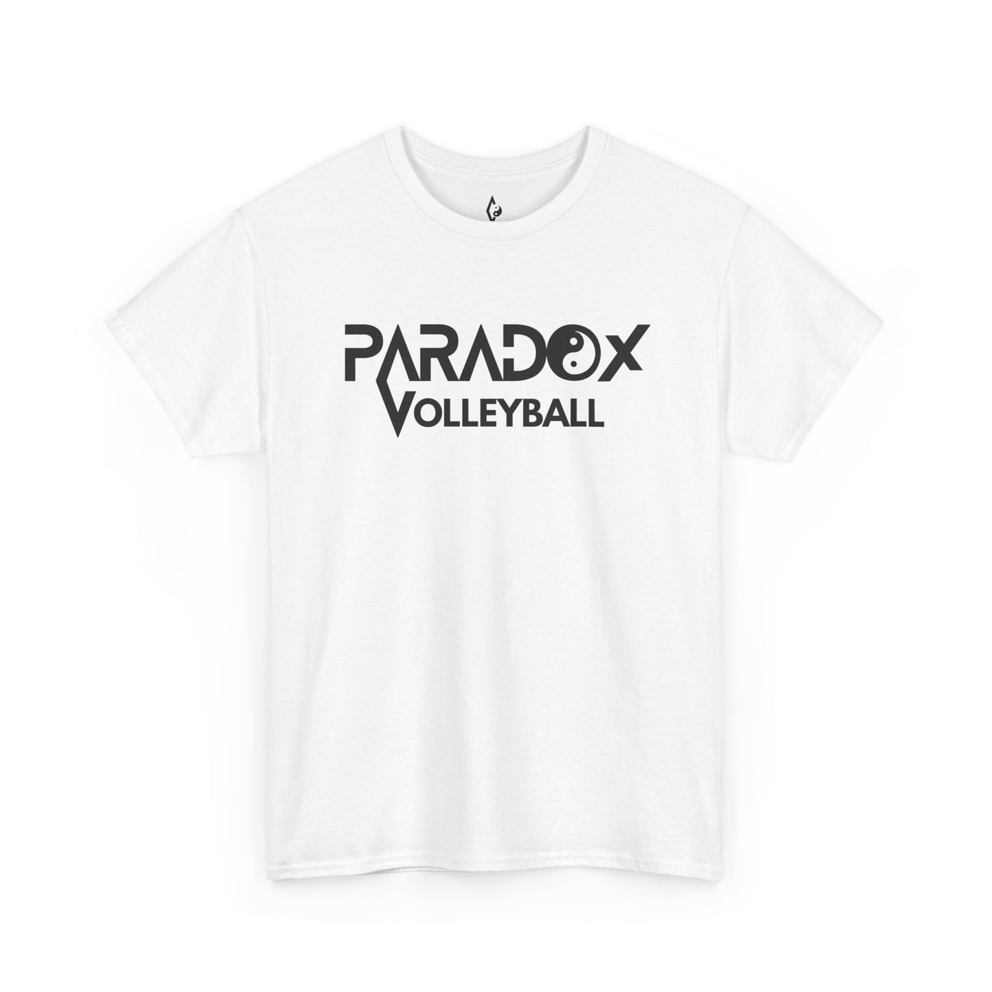 Paradox - Dictionary Entry